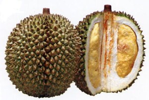 Дуриан (Durian) Дуриан (Durian)