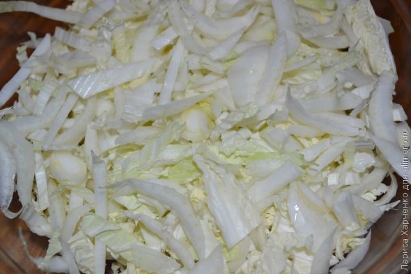 ������ ������ � �������