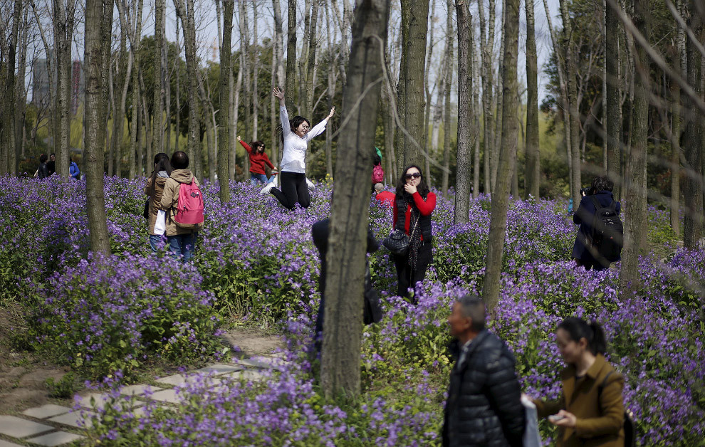 Весенний парк в Шанхае, 24 марта 2015 весна, мир, природа