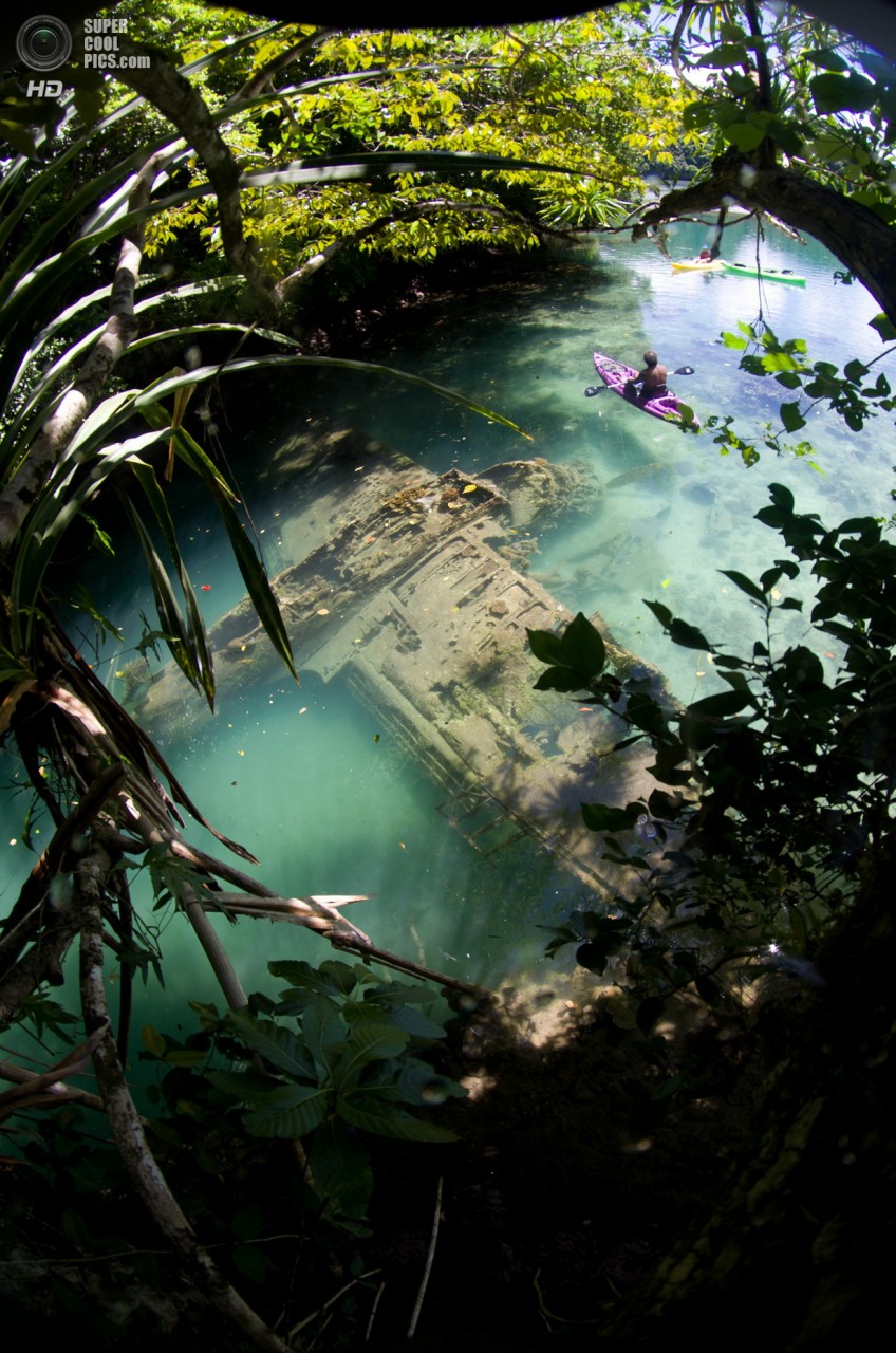 : Topside. 2 . (Tony Cherbas/UnderwaterPhotography.com)