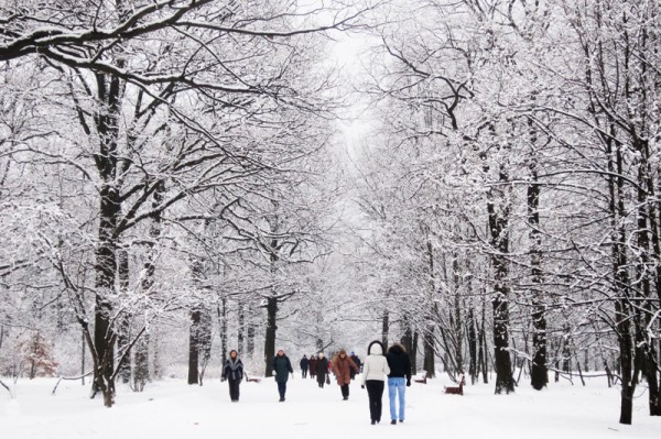 Учёные рассказали о вреде и пользе мороза для организма человека