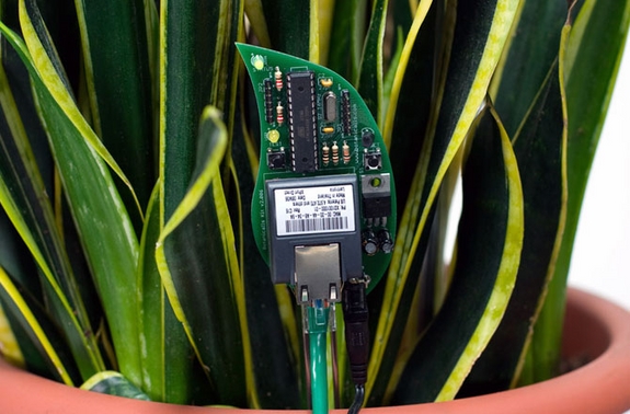 Мобильный телефон для растений Botanicalls
