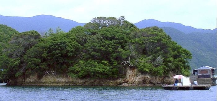 остров, квартира, сравнение, цена