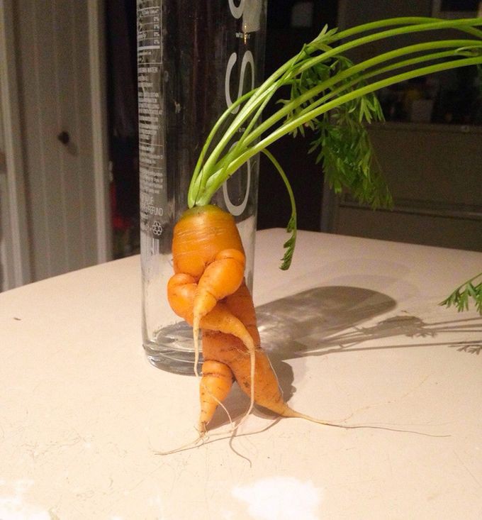 9. Морковка с характером овощи, фрукиы