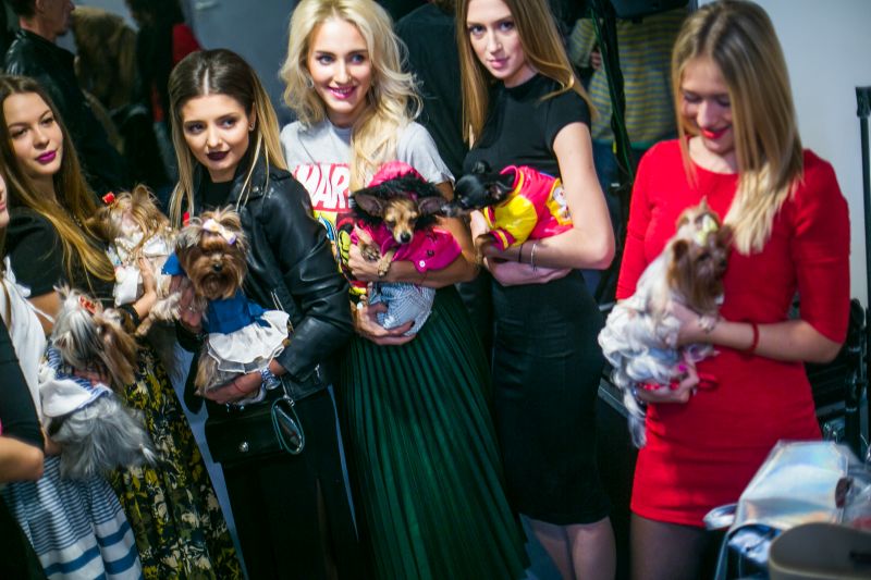 Забавный Backstage шоу маленьких собачек на на «Artpodium 2015» Забавный Backstage шоу маленьких собачек на на «Artpodium 2015»