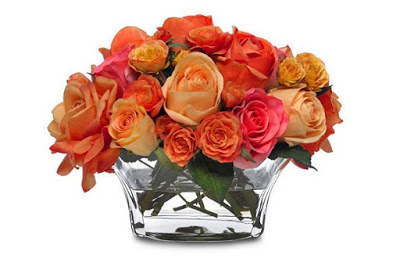 Как вырастить розу из срезанного цветка? С этим способом и садовник не нужен!