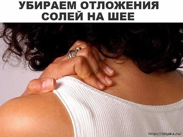 3925073_ (604x453, 151Kb)