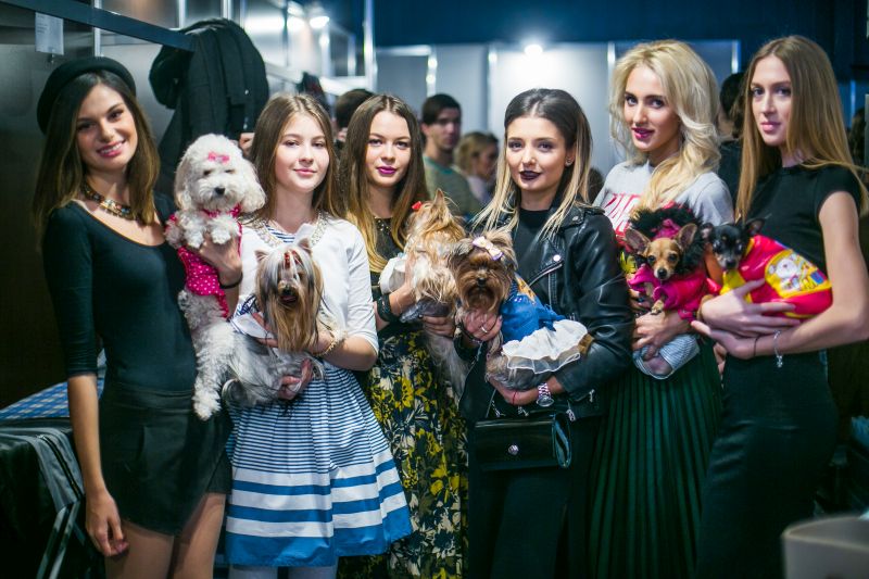 Забавный Backstage шоу маленьких собачек на на «Artpodium 2015» Забавный Backstage шоу маленьких собачек на на «Artpodium 2015»