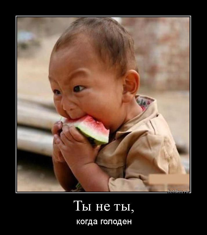 Ты не ты когда голоден! Ты не ты когда голоден, позитив, прикол, юмор