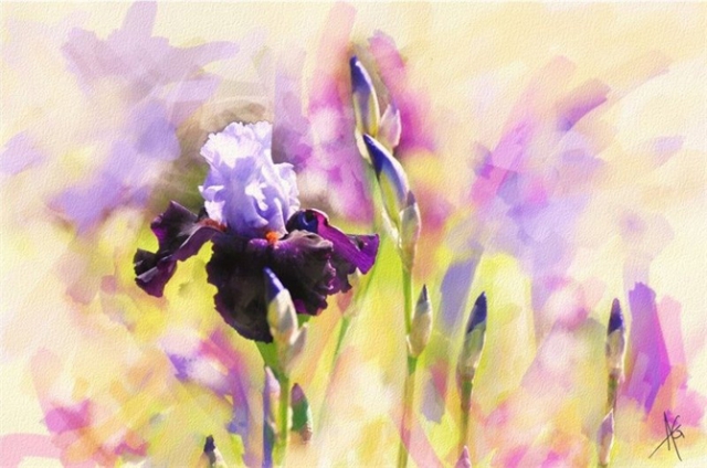 Alberto_Guillen_Flower_Paintings_14 (670x444, 239Kb)