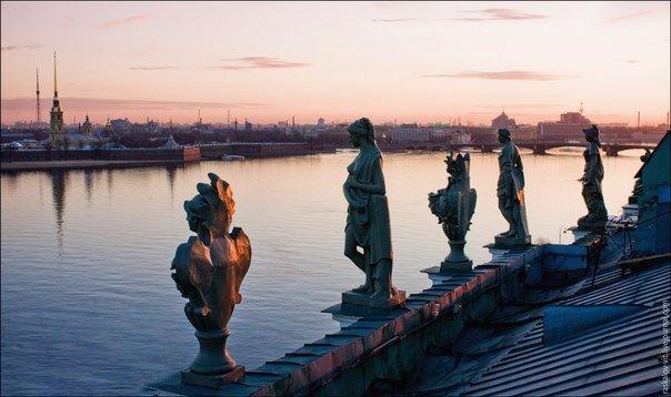 Загадочные обитатели петербургских крыш Загадочные обитатели петербургских крыш