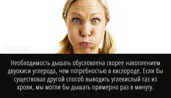20 суперспособностей, которые есть у каждого 20 суперспособностей, которые есть у каждого анатомия, факты, человек