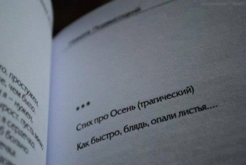 Веселости в картинках и фото (40 шт)