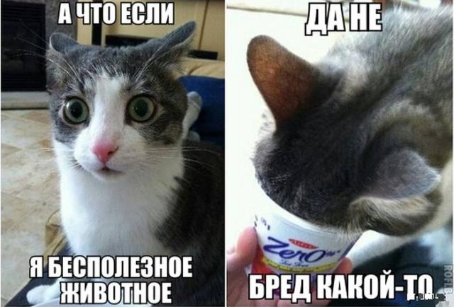 Почему машенька сумела побороть зло и вернуться домой невредимой Почему машенька сумела побороть зло и вернуться домой невредимой