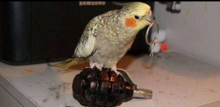 Подборка картинок Подборка картинок картинки, приколы