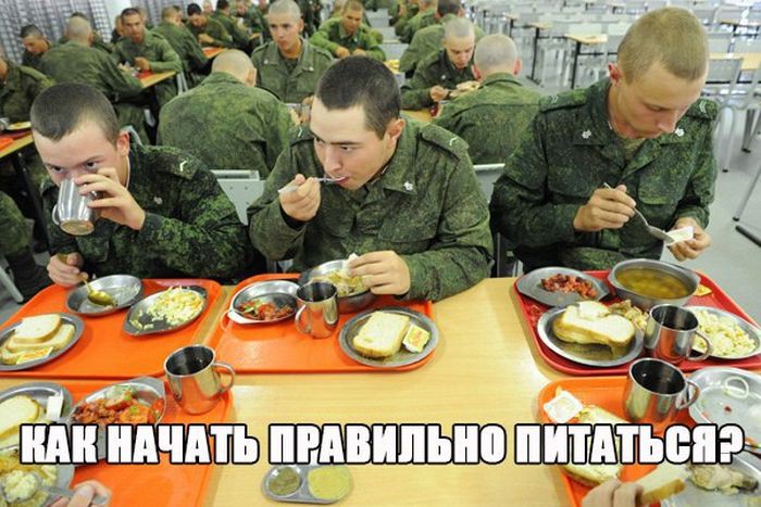 Прикольные картинки с надписями Прикольные картинки с надписями картинки, прикол, фото