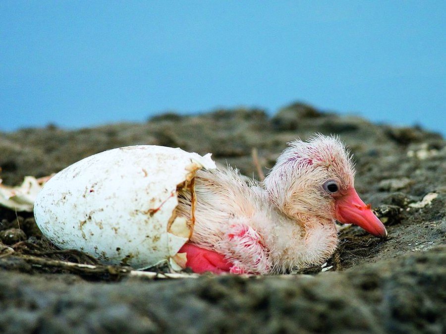 NewPix.ru - ������������ ���������� ��������