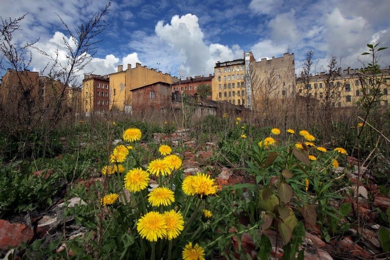 Петербург, каким мы его еще не видели города, история, факты