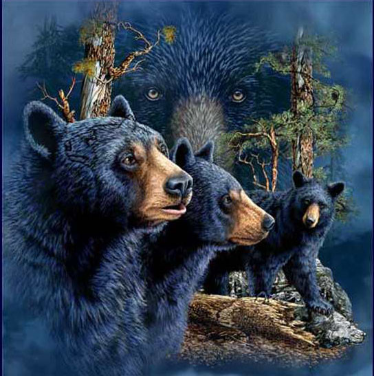 11 медведей Стивена Гарднера, загадки, картины
