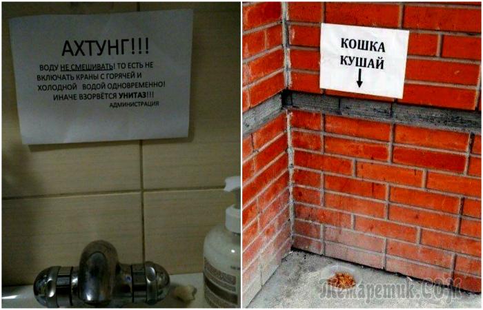 Уморительные объявления и вывески, которые поднимут настроение любому