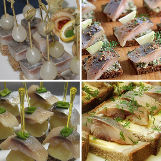 grey ������ � ��������. 12 ���� ��� ������� �� ������!