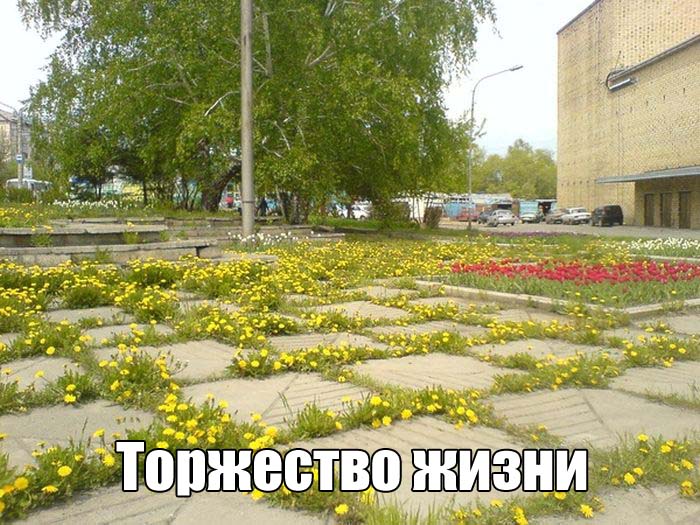 Забавные картинки с надписями со смыслом (12 фото) Забавные картинки с надписями со смыслом (12 фото)