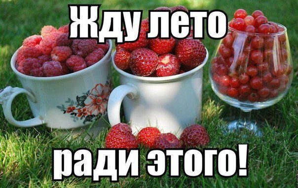 ВЕСЕЛЫЕ КАРТИНКИ ДЛЯ ХОРОШЕГО НАСТРОЕНИЯ. ВЕСЕЛЫЕ КАРТИНКИ ДЛЯ ХОРОШЕГО НАСТРОЕНИЯ.