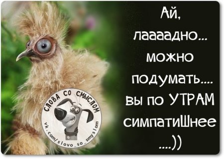 Фразочки, картиночки, позитивчик...