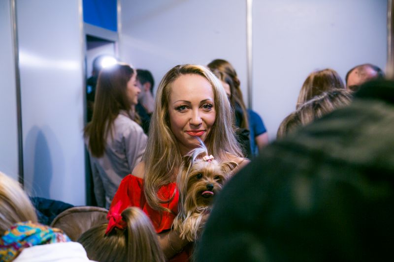 Забавный Backstage шоу маленьких собачек на на «Artpodium 2015» Забавный Backstage шоу маленьких собачек на на «Artpodium 2015»