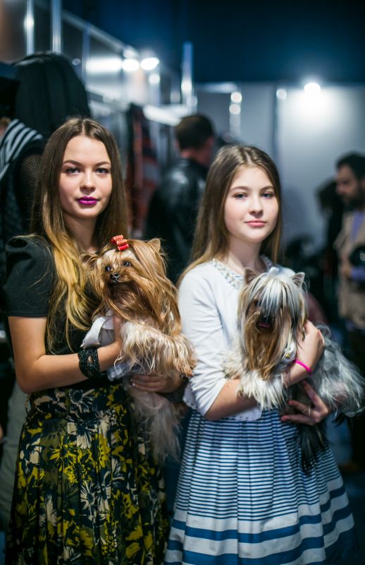Забавный Backstage шоу маленьких собачек на на «Artpodium 2015» Забавный Backstage шоу маленьких собачек на на «Artpodium 2015»