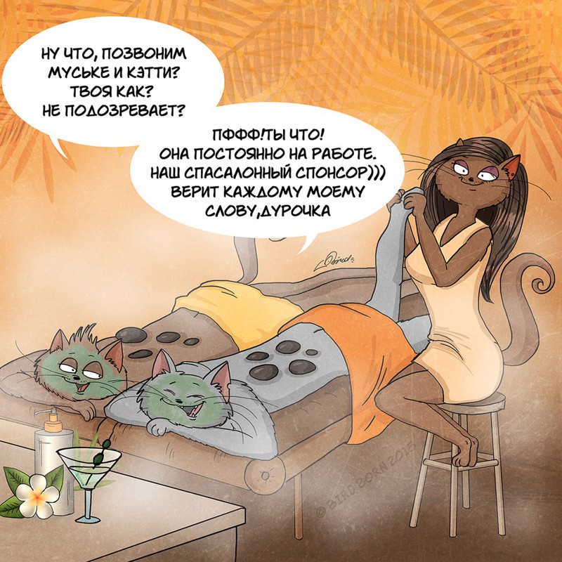 Меняемся местами. Мужчина и Женщина Меняемся местами. Мужчина и Женщина Bird Born, женщина, мужчина, прикол