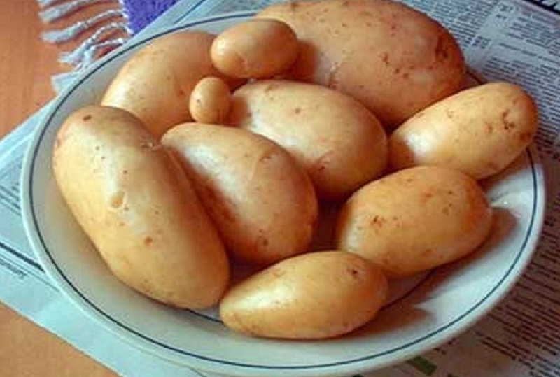 лайфхаки с зубной щеткой