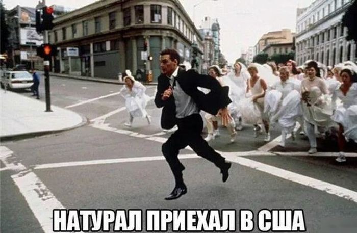 Прикольные картинки с надписями картинки, прикол, фото