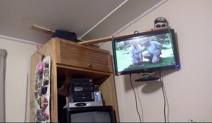 original.jpg#20384141539