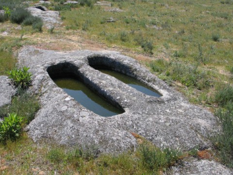 Forcadas_2-480x360