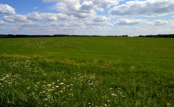 Пенсионные заметки Пенсионные заметки