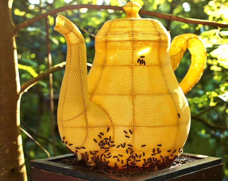60 000 пчел вылепили миленький чайник. 9 ошеломляющих кадров