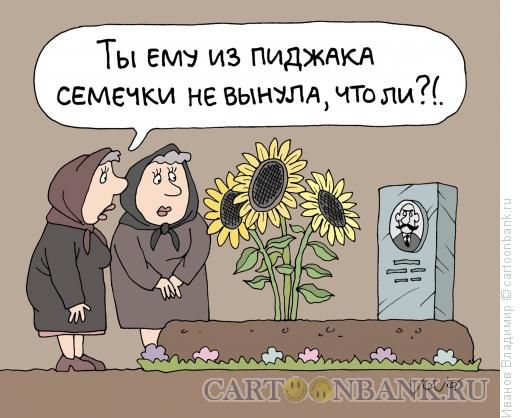 ����������: ����������, ������ ��������