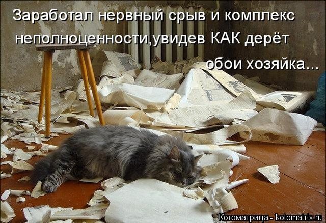 Самые смешные котоматрицы для хорошего настроения) Самые смешные котоматрицы для хорошего настроения)