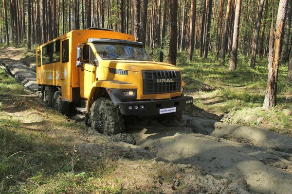Фото взято из интернета в свободном доступе.