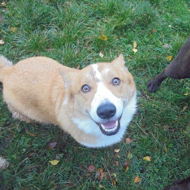 ������ ������ ���� ��� ������ (� ������� �� ��������� ��������) �������, ����