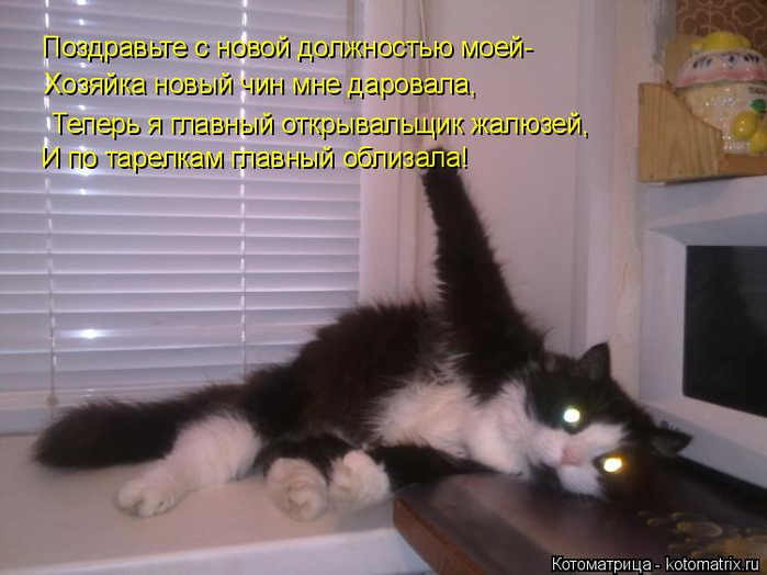 Прикольное поздравление с назначением на должность начальника 67