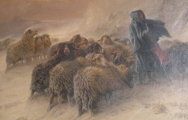 Август Фридрих Альбрехт Шенк и его овечки. Август Фридрих Альбрехт Шенк и его овечки.