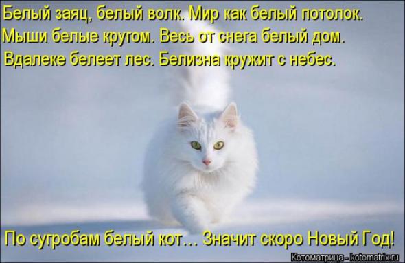 (  )
