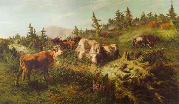 Август Фридрих Альбрехт Шенк и его овечки. Август Фридрих Альбрехт Шенк и его овечки.