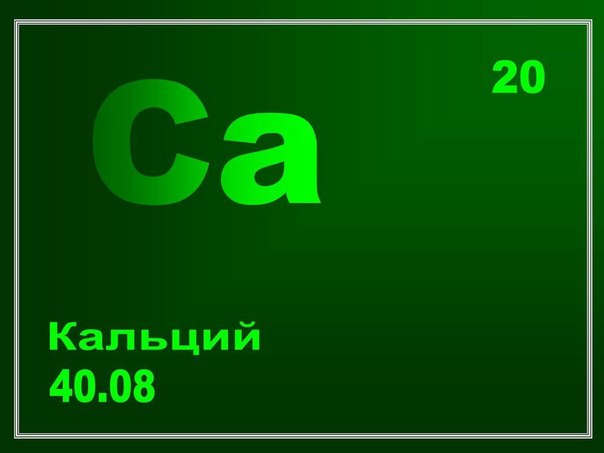 Роль кальция в организме человека.