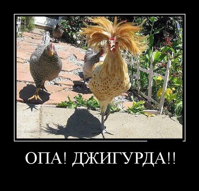 Демотиваторы (30 фото) Демотиваторы (30 фото)