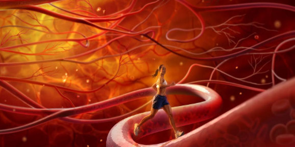 Лечение сосудов: мифы и реальность Лечение сосудов: мифы и реальность