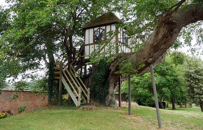 Домик на дереве в поместье Питчфорд - самый старый. : pinterest.com