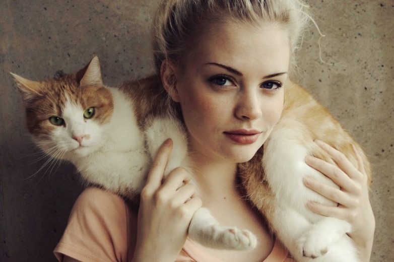 Как использовать котов в хозяйстве) Как использовать котов в хозяйстве)
